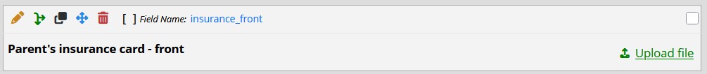 File upload field in Designer